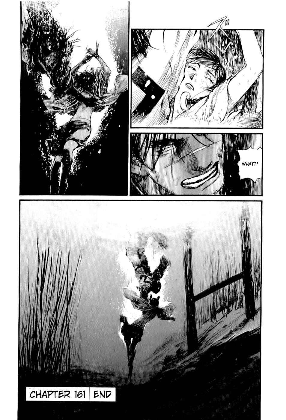 Blade of the Immortal - Chapter 161 - Page 29