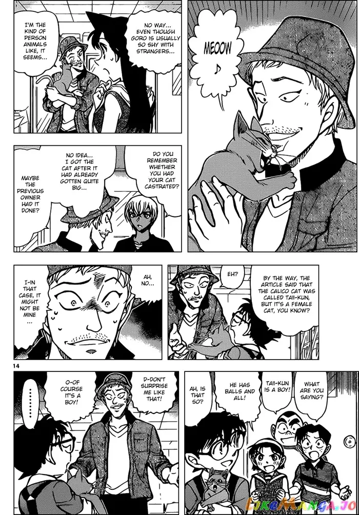 Case Closed Manga - Chapter 865 - Page 14