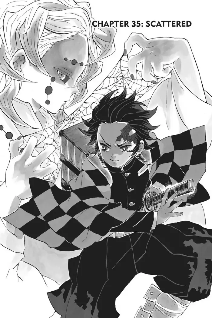 Demon Slayer - Chapter 35 - Page 7