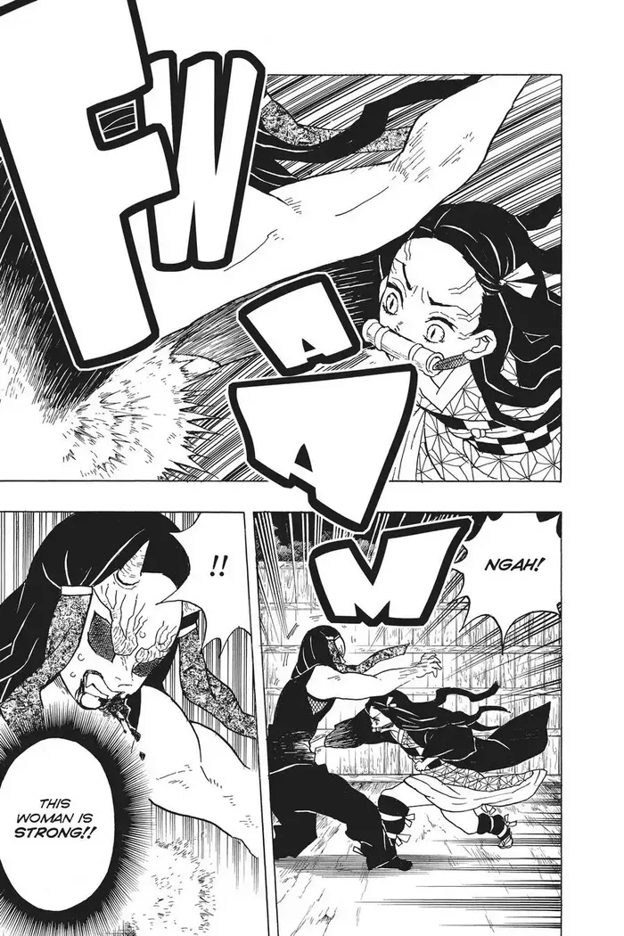 Demon Slayer - Chapter 12 - Page 13