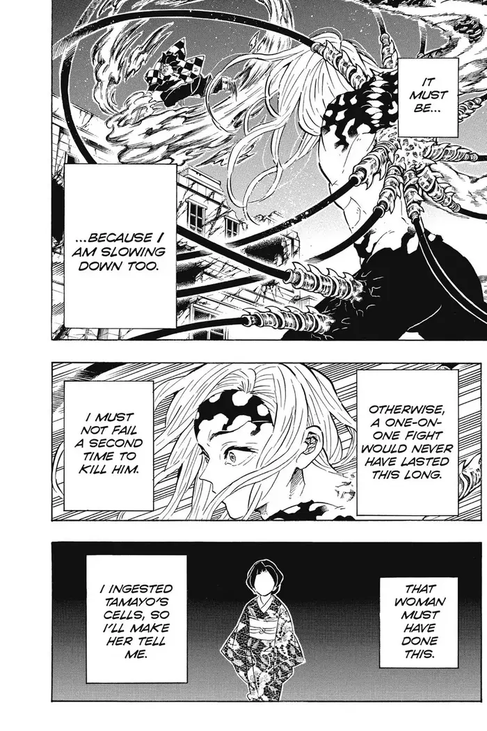 Demon Slayer - Chapter 193 - Page 13