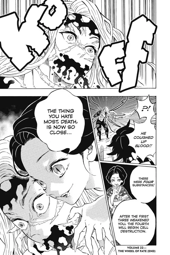 Demon Slayer - Chapter 196 - Page 19