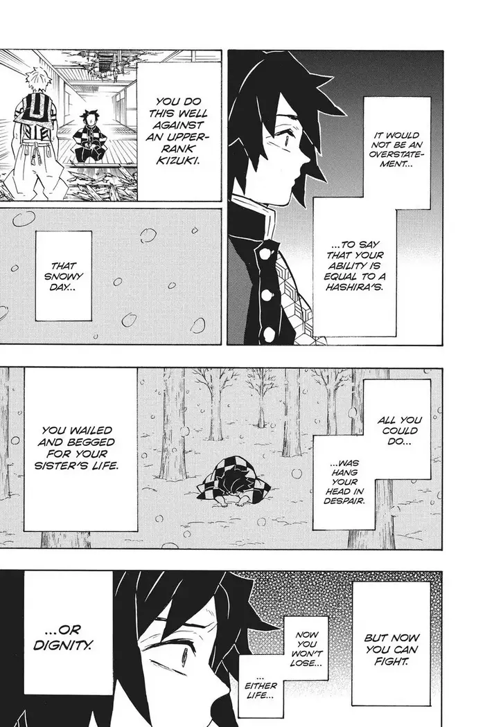 Demon Slayer - Chapter 147 - Page 19