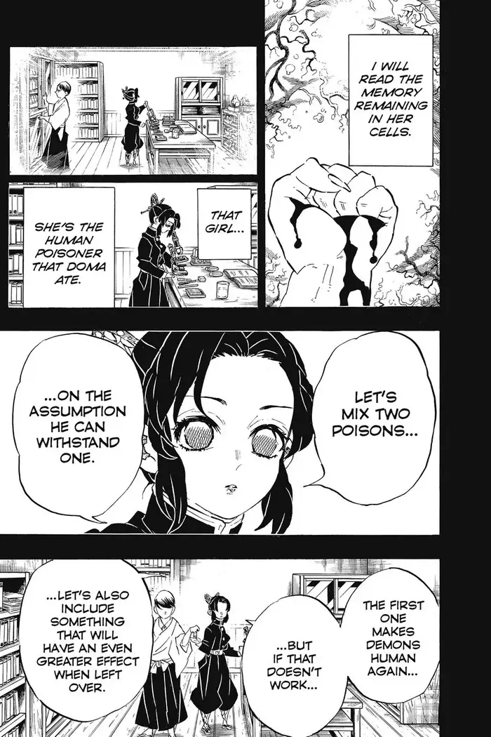Demon Slayer - Chapter 193 - Page 16