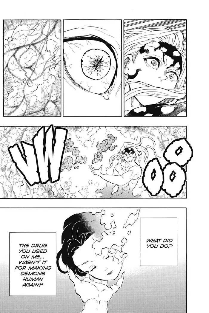 Demon Slayer - Chapter 193 - Page 14