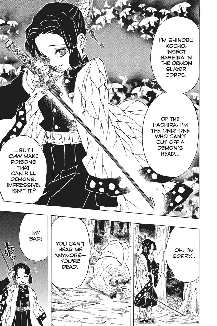 Demon Slayer - Chapter 41 - Page 19