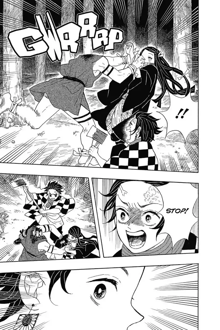 Demon Slayer - Chapter 2 - Page 17