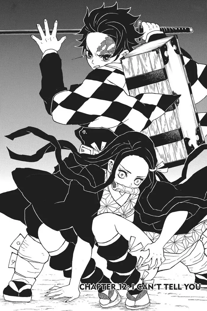 Demon Slayer - Chapter 12 - Page 1