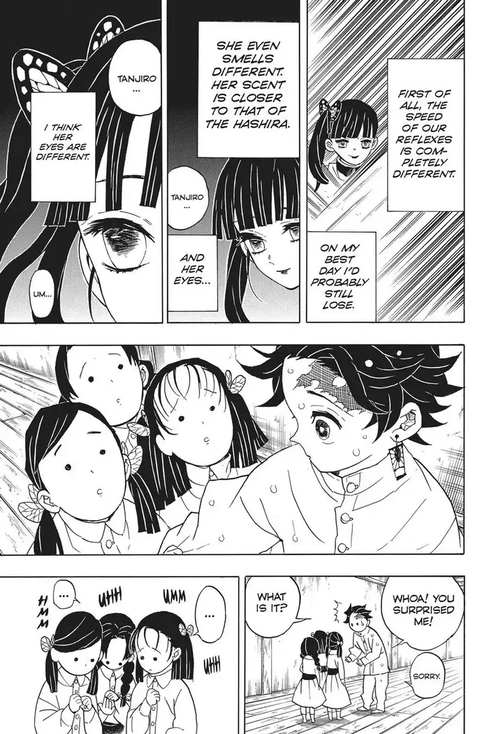 Demon Slayer - Chapter 49 - Page 17