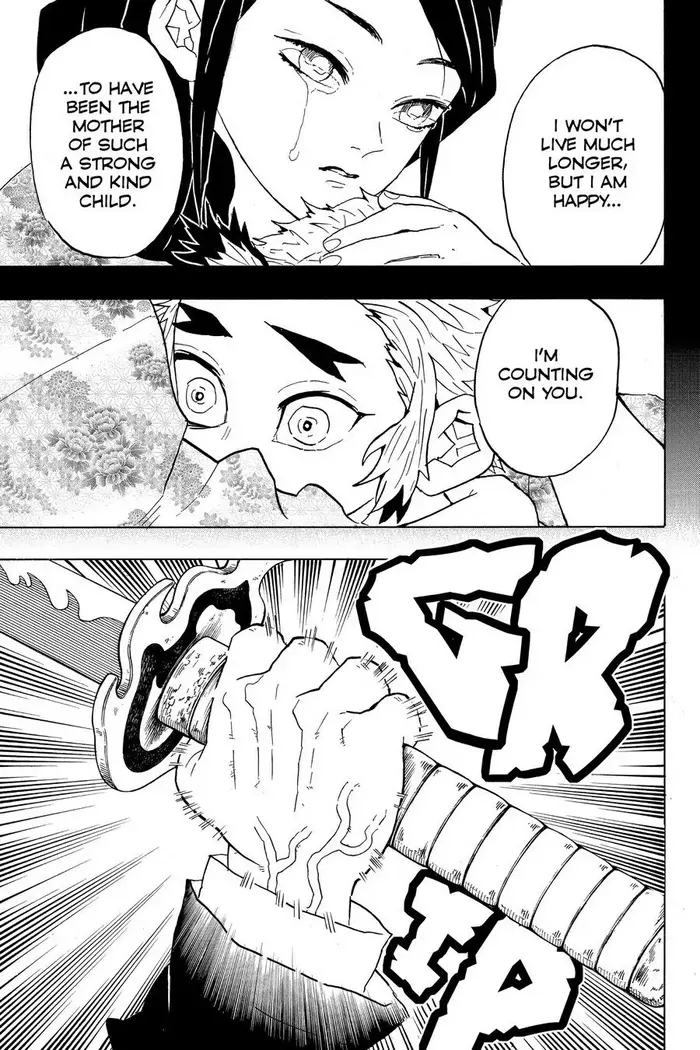 Demon Slayer - Chapter 64 - Page 14