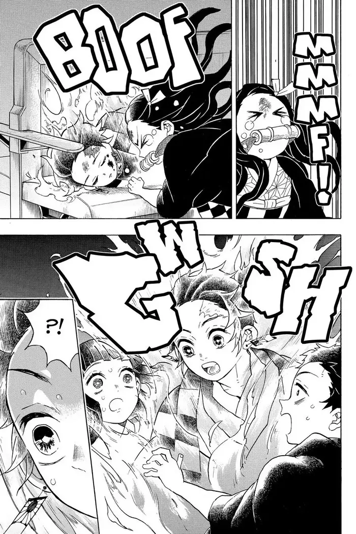 Demon Slayer - Chapter 56 - Page 19