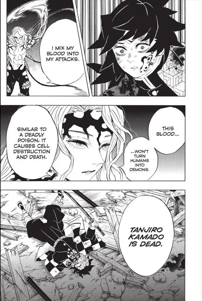 Demon Slayer - Chapter 184 - Page 18