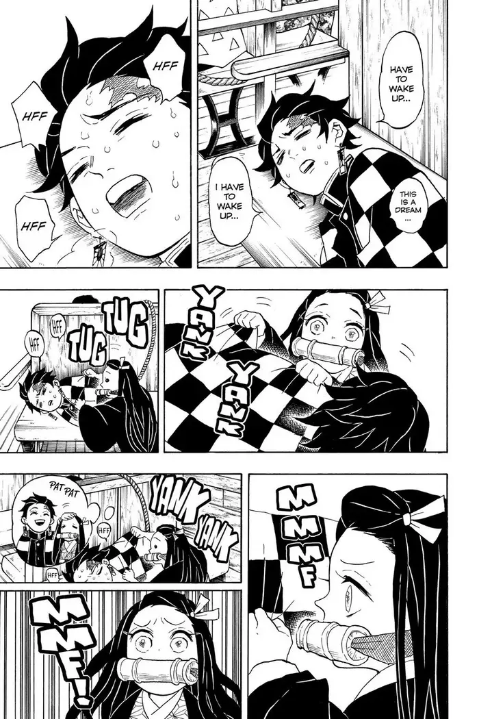 Demon Slayer - Chapter 56 - Page 17