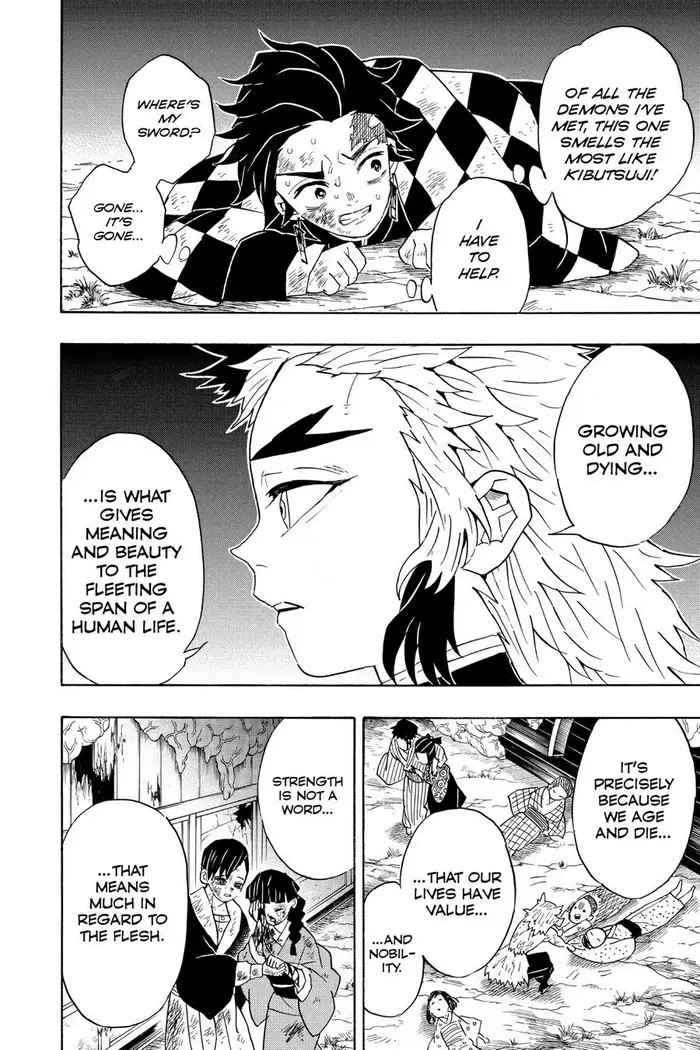 Demon Slayer - Chapter 63 - Page 10