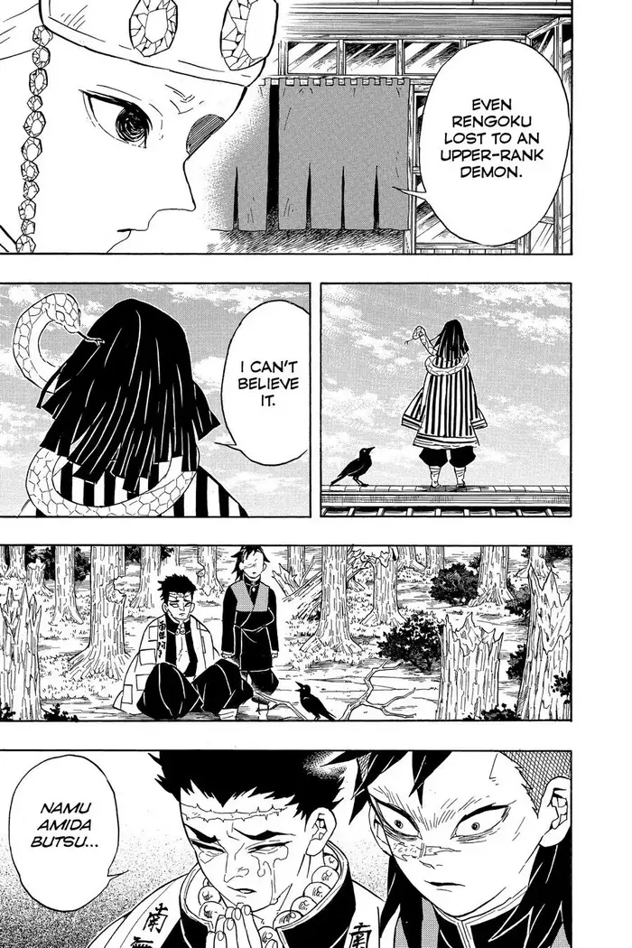 Demon Slayer - Chapter 66 - Page 19