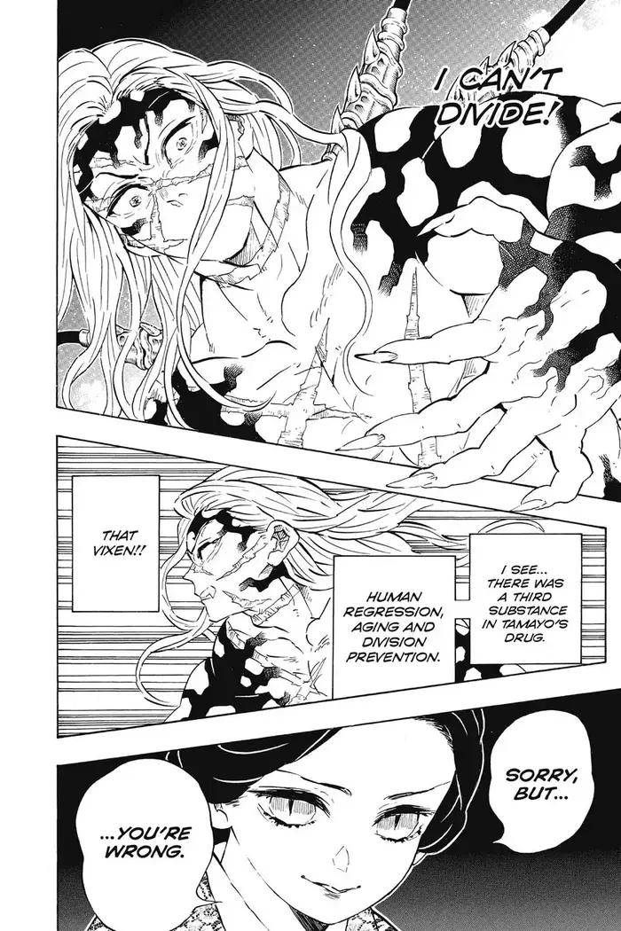 Demon Slayer - Chapter 196 - Page 18