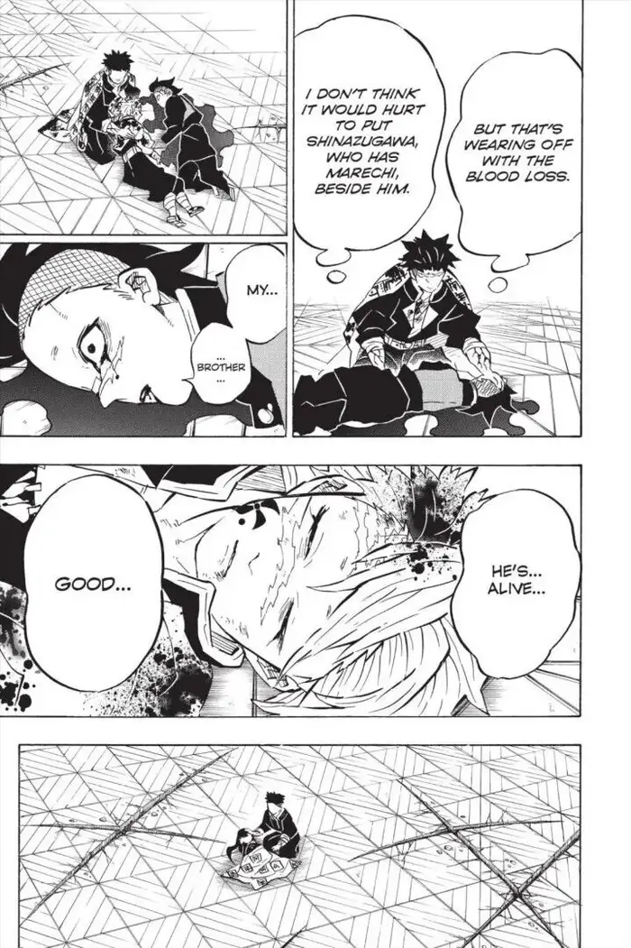 Demon Slayer - Chapter 179 - Page 11