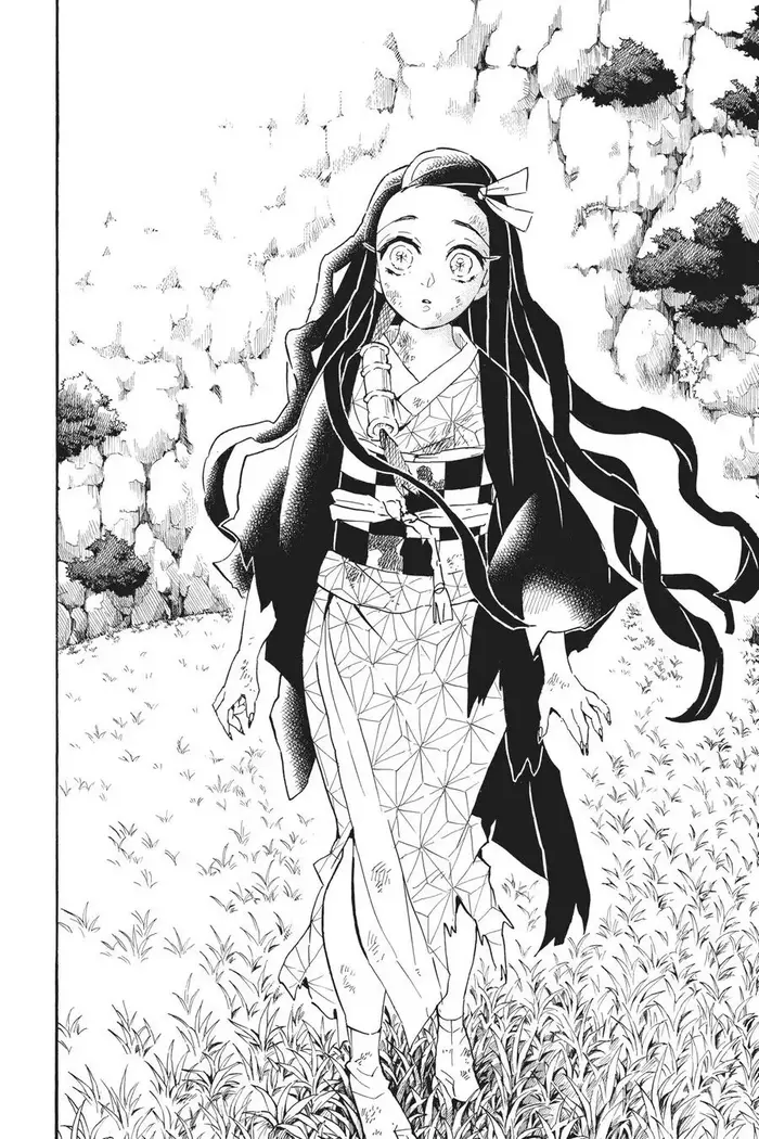 Demon Slayer - Chapter 126 - Page 17