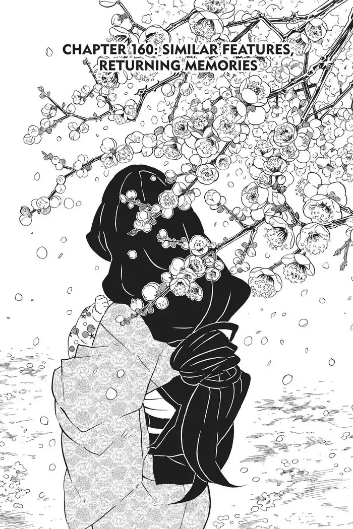 Demon Slayer - Chapter 160 - Page 1