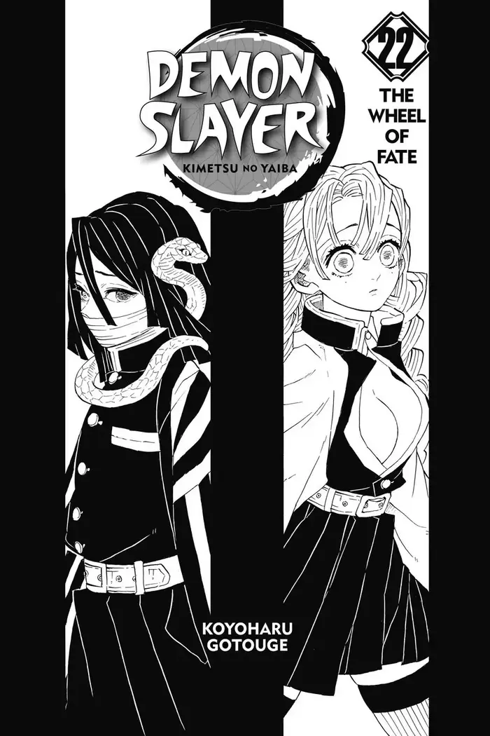 Demon Slayer - Chapter 188 - Page 4