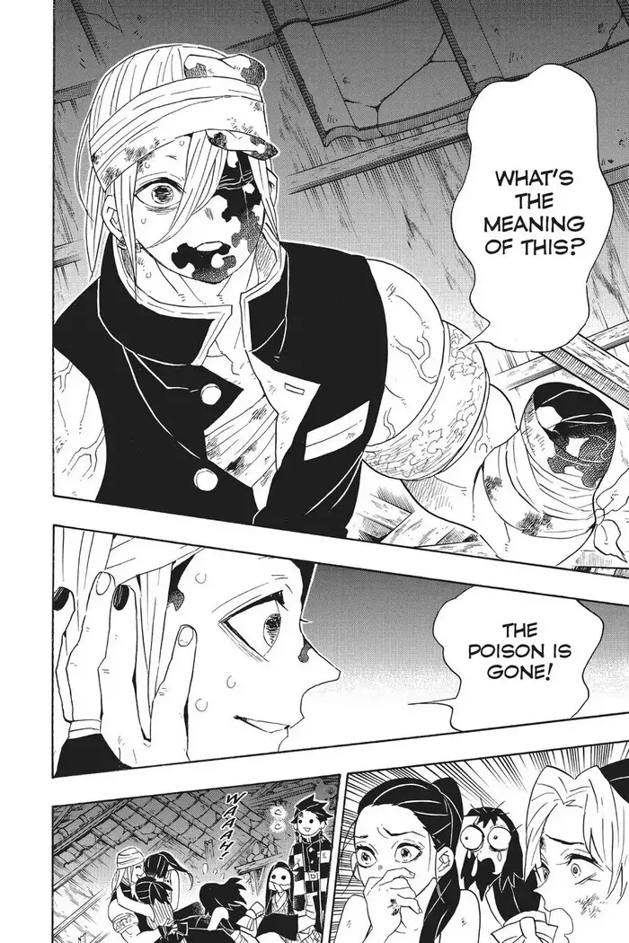 Demon Slayer - Chapter 95 - Page 14