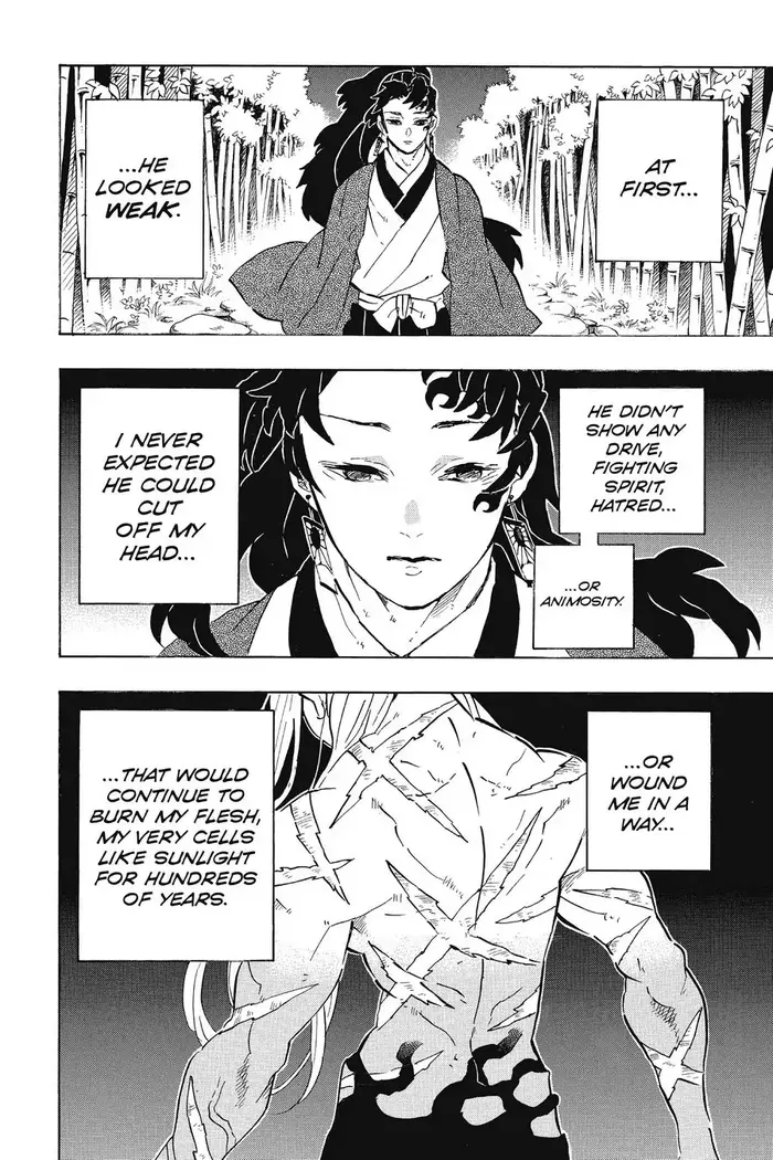 Demon Slayer - Chapter 195 - Page 2