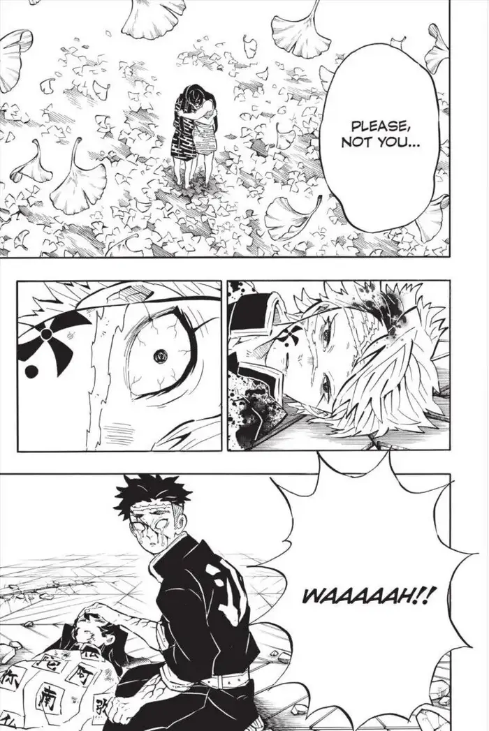 Demon Slayer - Chapter 179 - Page 19