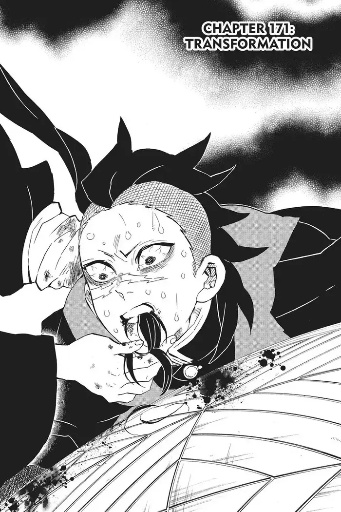 Demon Slayer - Chapter 171 - Page 1