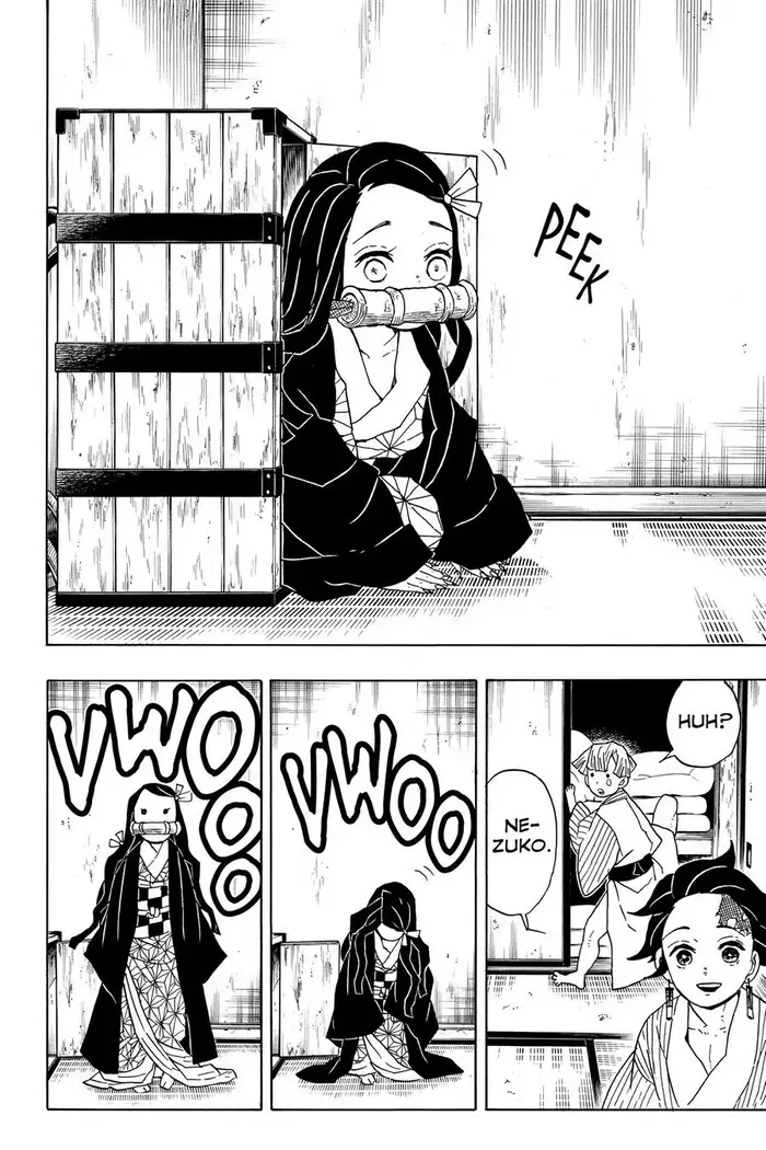 Demon Slayer - Chapter 27 - Page 16