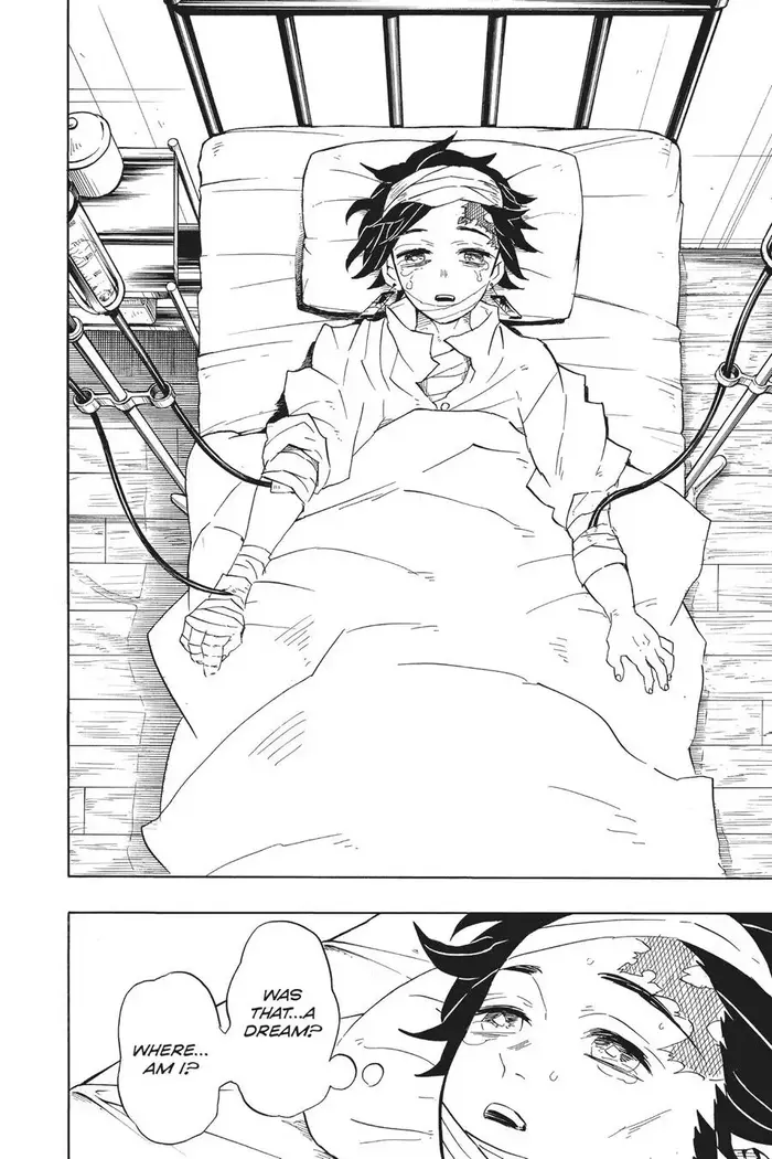 Demon Slayer - Chapter 99 - Page 18