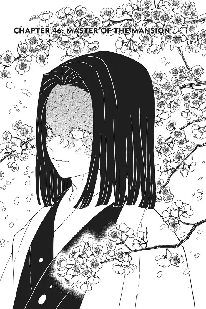 Demon Slayer - Chapter 46 - Page 1
