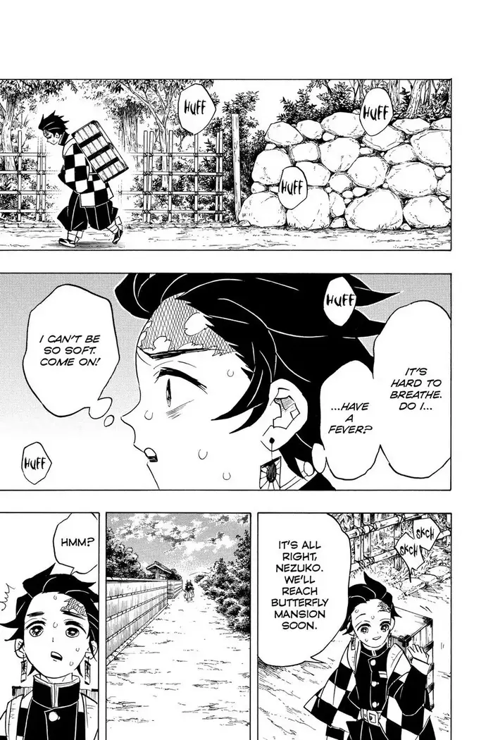 Demon Slayer - Chapter 69 - Page 17