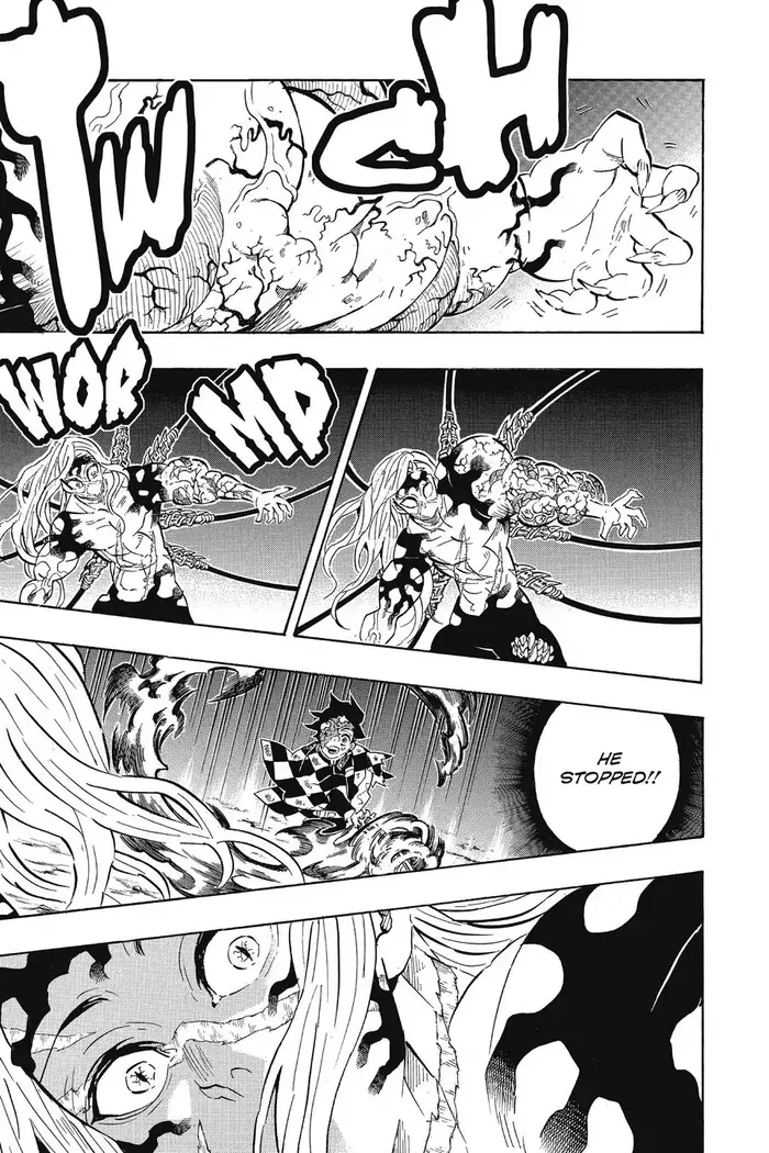 Demon Slayer - Chapter 196 - Page 17