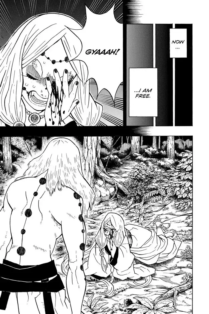 Demon Slayer - Chapter 32 - Page 3