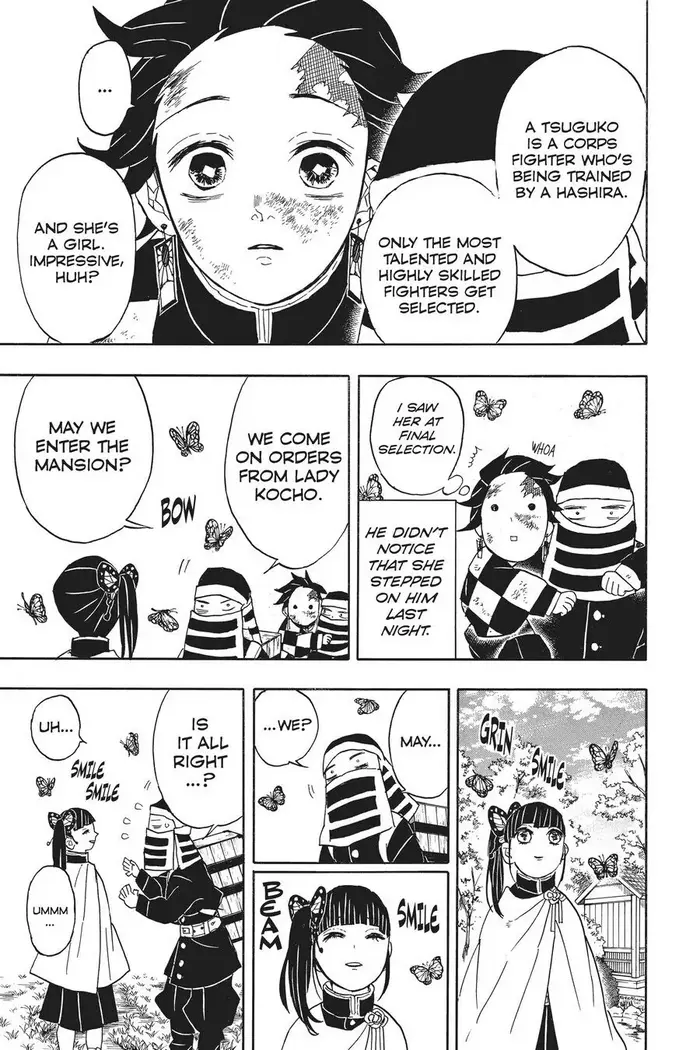 Demon Slayer - Chapter 48 - Page 9