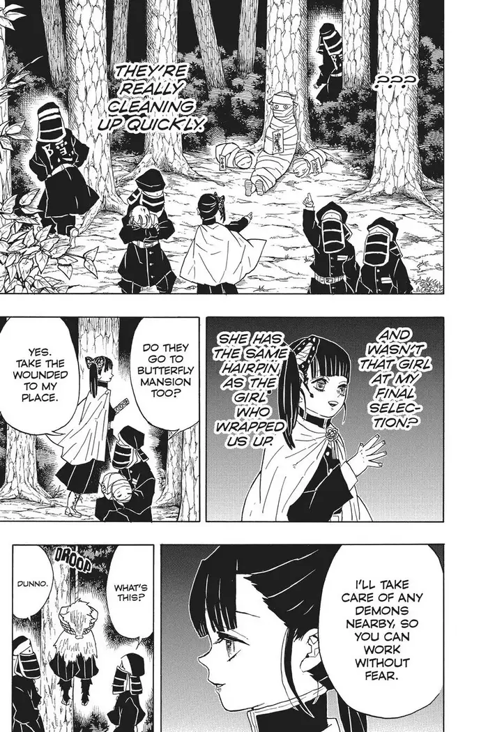 Demon Slayer - Chapter 44 - Page 9
