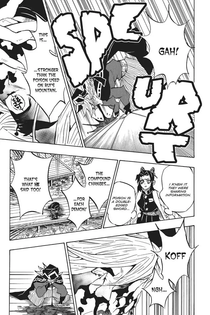 Demon Slayer - Chapter 141 - Page 17