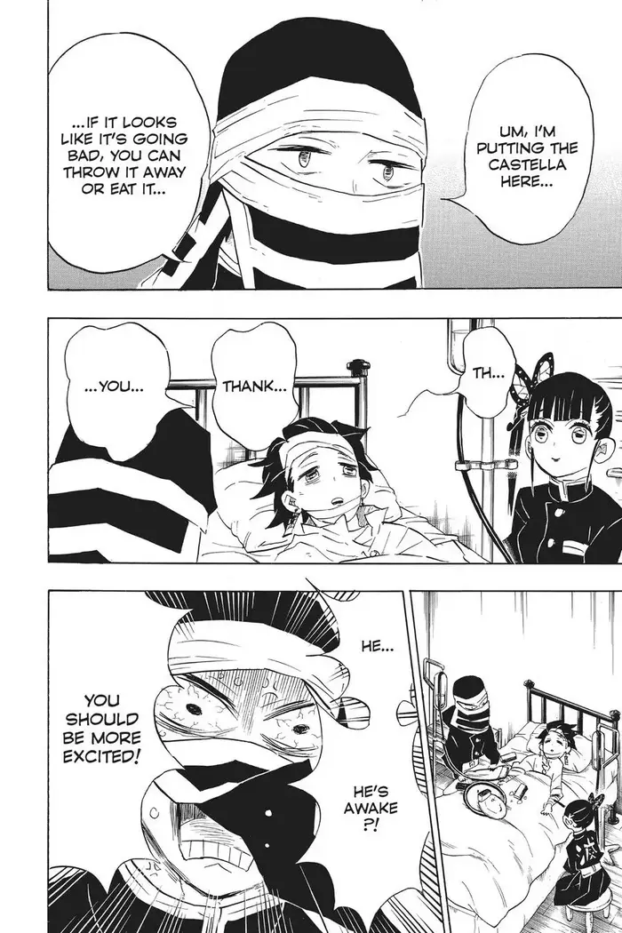 Demon Slayer - Chapter 100 - Page 4