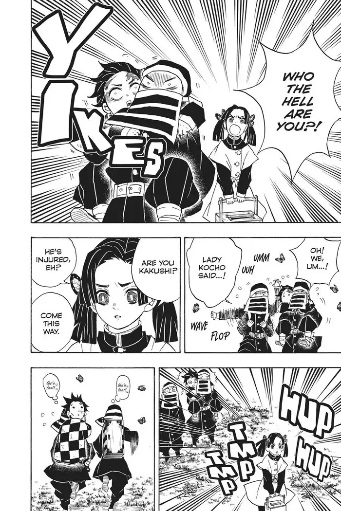 Demon Slayer - Chapter 48 - Page 10