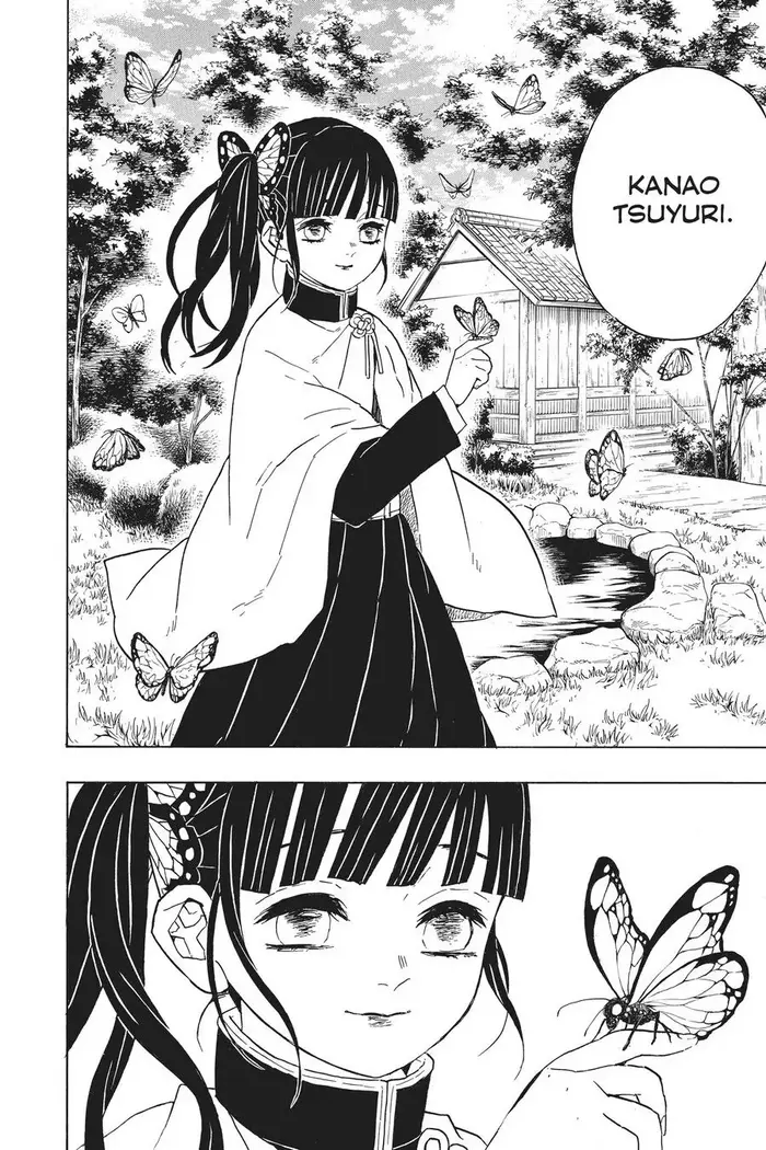 Demon Slayer - Chapter 48 - Page 8