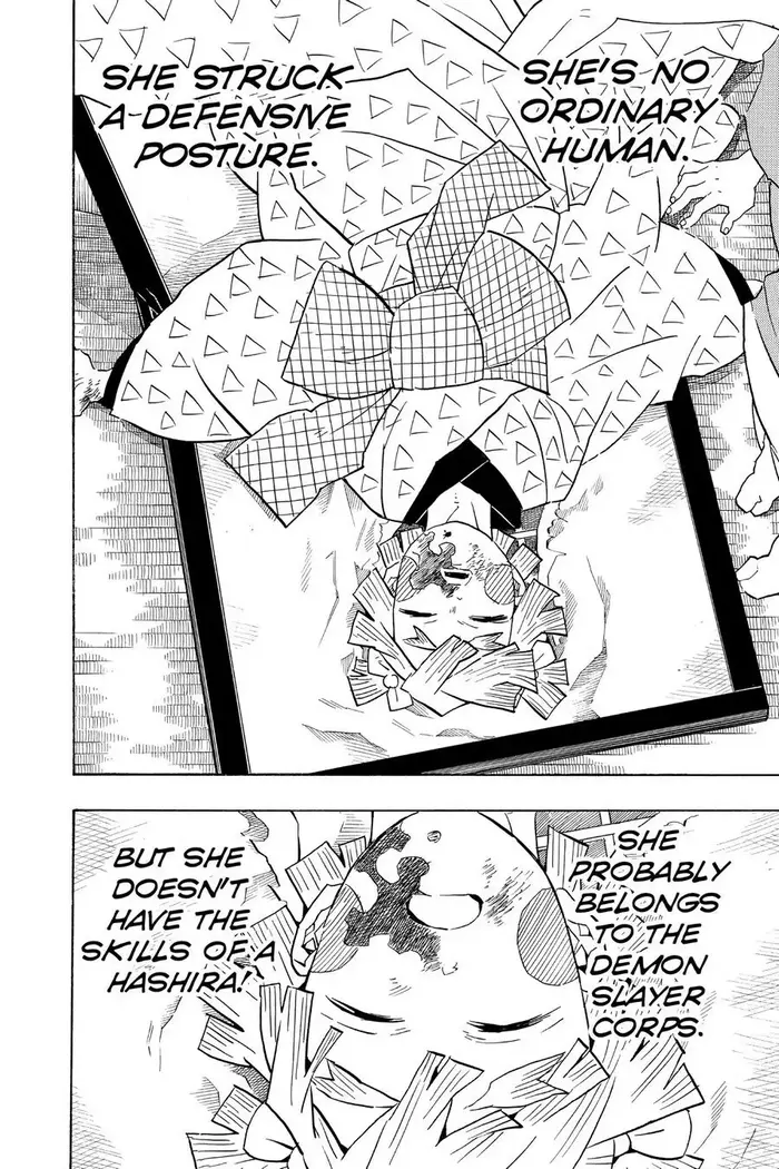 Demon Slayer - Chapter 74 - Page 18