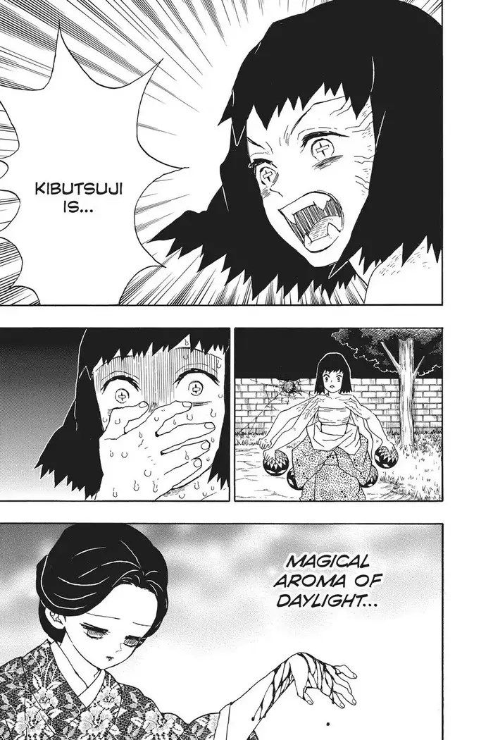 Demon Slayer - Chapter 18 - Page 17