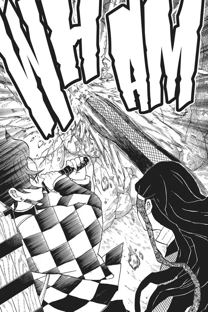 Demon Slayer - Chapter 11 - Page 11