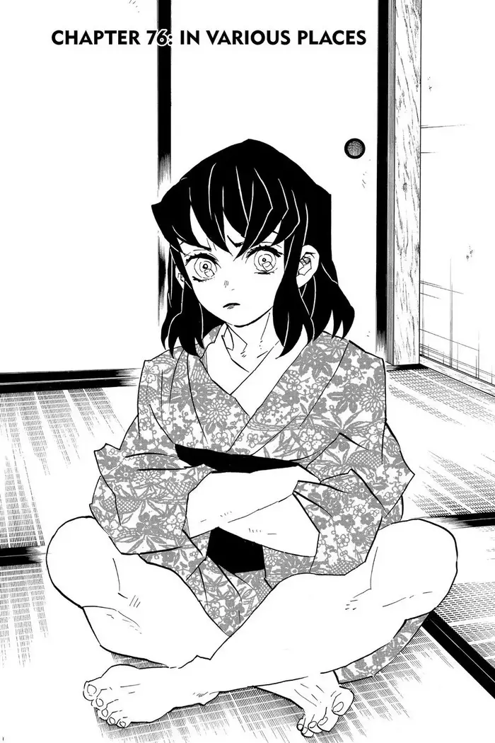 Demon Slayer - Chapter 76 - Page 1