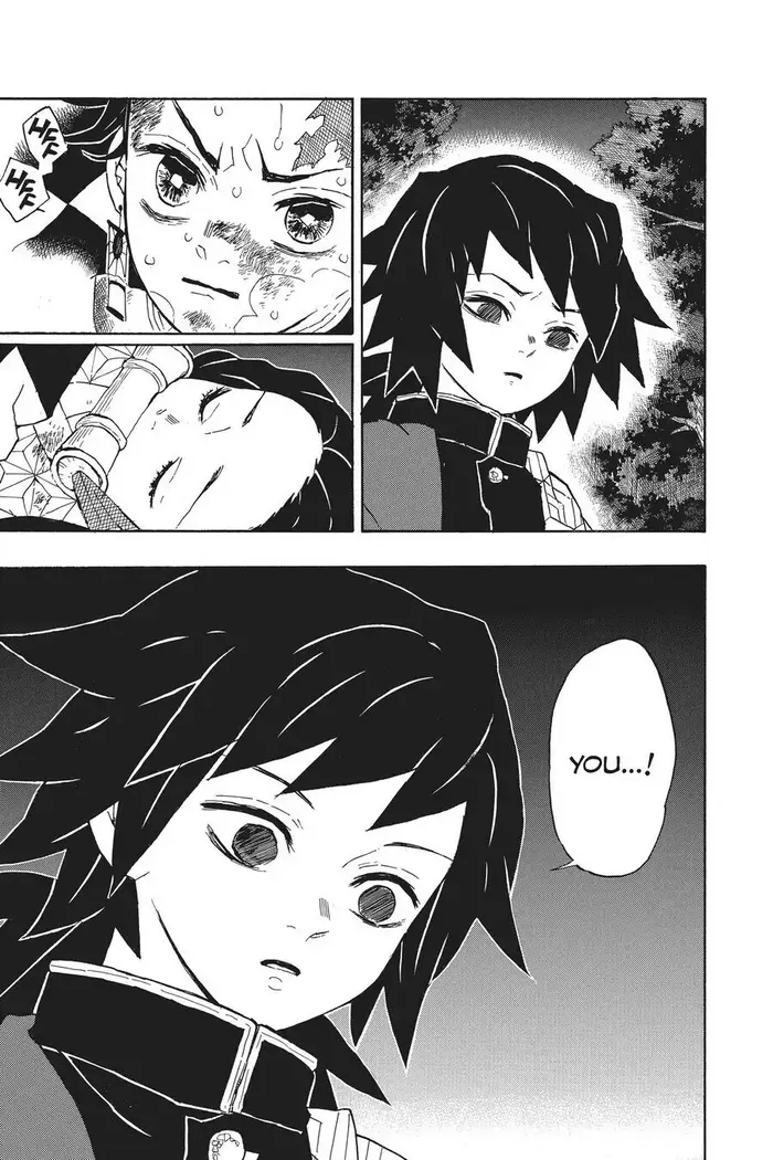Demon Slayer - Chapter 43 - Page 17