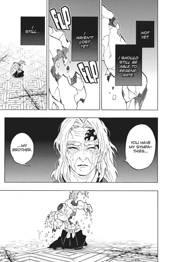 Demon Slayer - Chapter 176 - Page 17