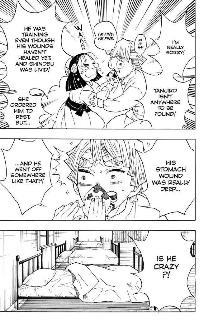 Demon Slayer - Chapter 67 - Page 15