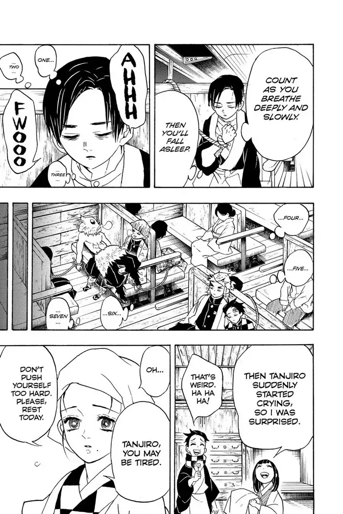 Demon Slayer - Chapter 55 - Page 17