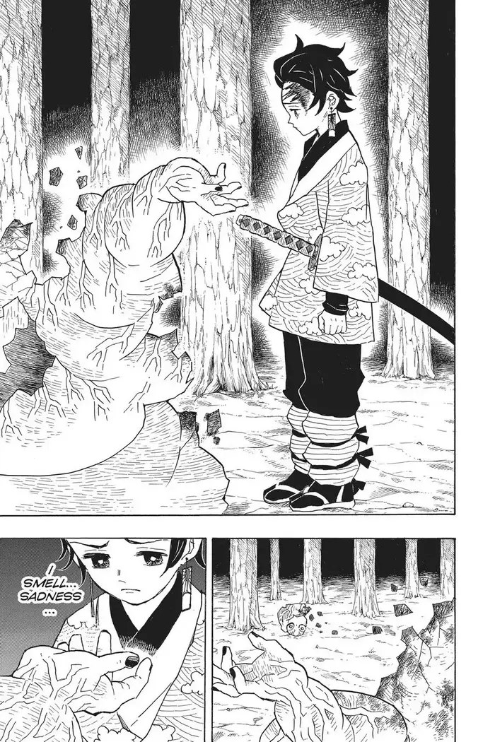 Demon Slayer - Chapter 8 - Page 13