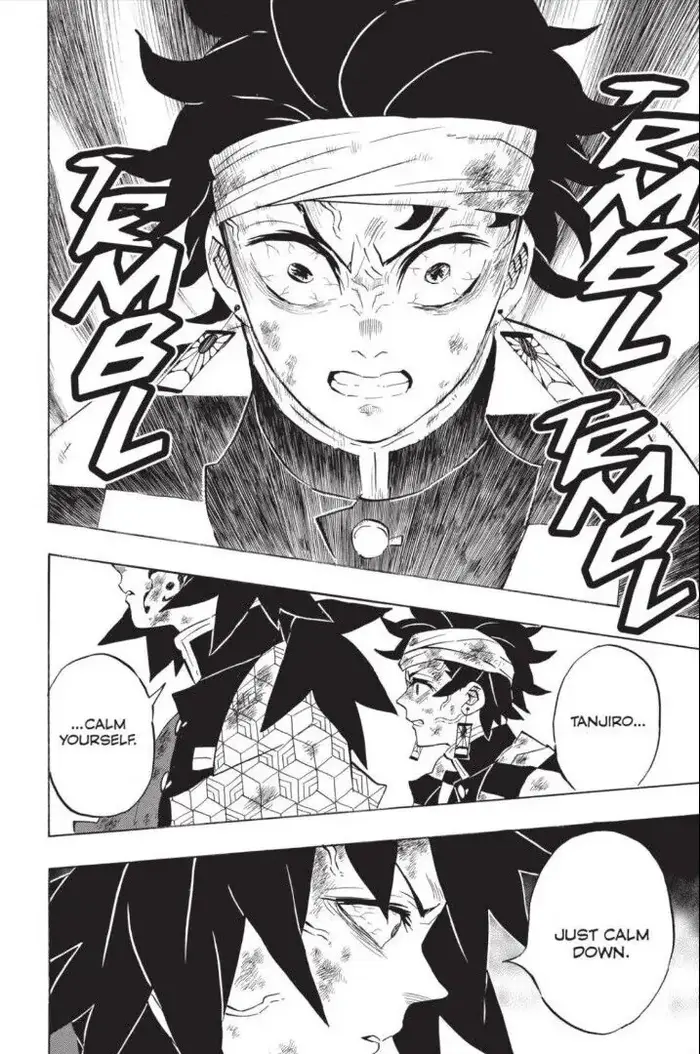 Demon Slayer - Chapter 181 - Page 13